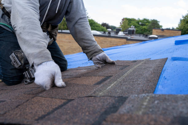 Best Roof Restoration Services  in Manhattan, MT